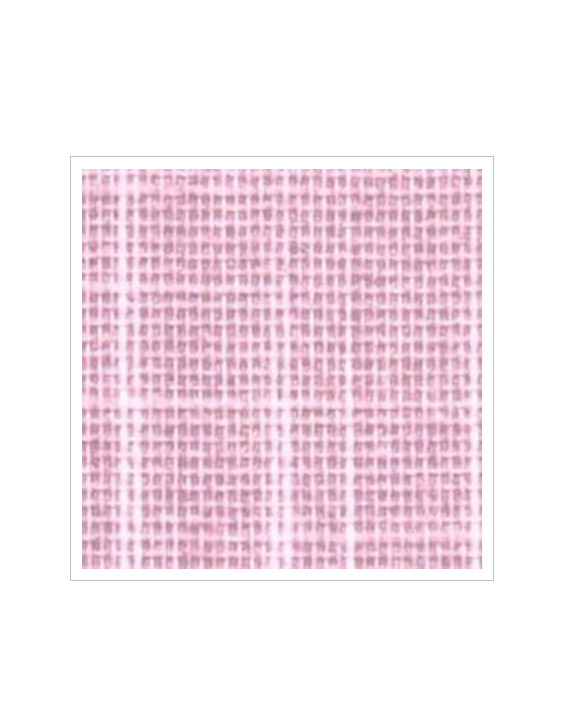 Rosa 012