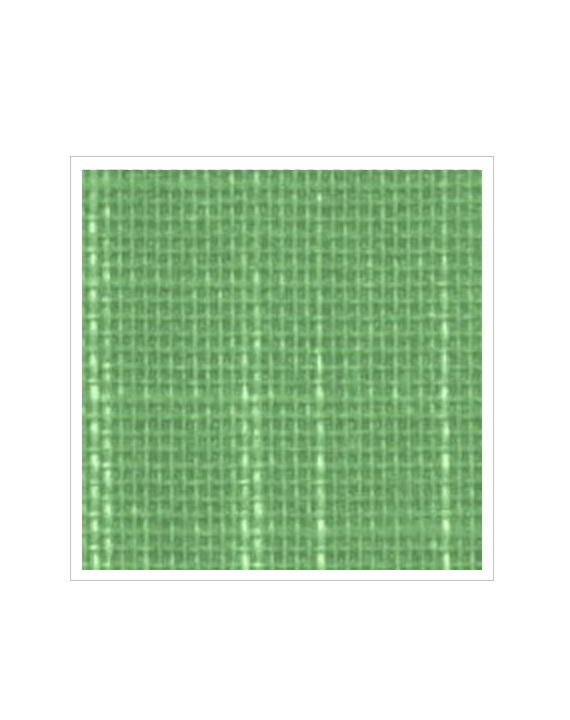 Verde muschio 065