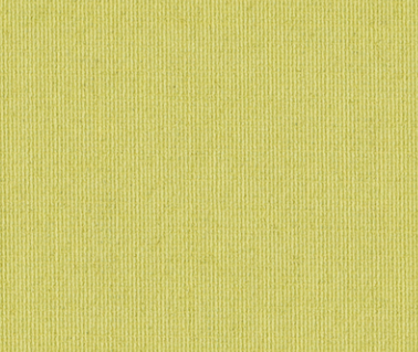 14 Lemon